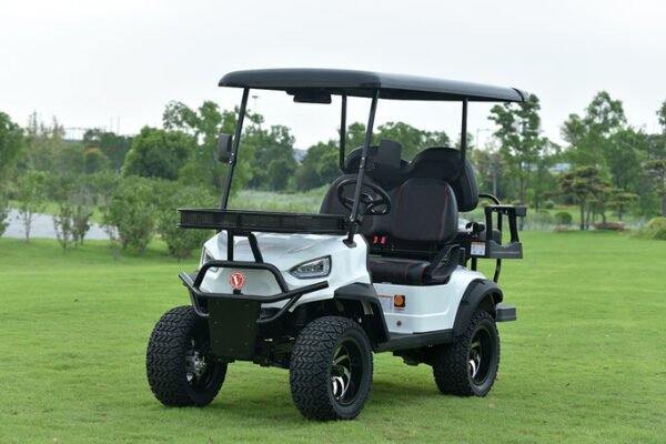 E BOLT-ELECTRIC GOLF CART - Image 3
