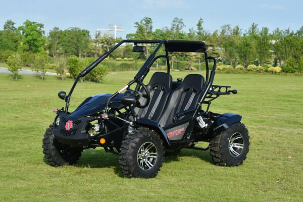 VENTURE 200 EFI - Image 2